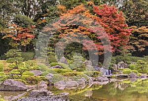 Autumn scene in the Japanese Ohori garden with a placid pond mirroring maple momiji trees in rain.