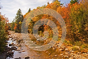 Autumn scene looking up river