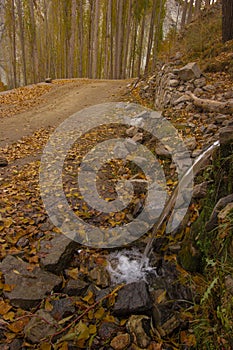 Autumn Scene in Nagar - Gilgit Baltistan