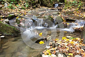 Autumn scene in the National Park of Foreste Casentinesi