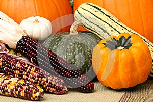 Autumn scene with pumpkins, corn and squash