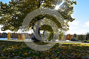 Autumn scene by the river in umea