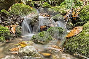 Autumn scene with small waterfall between rocks with moss and fa