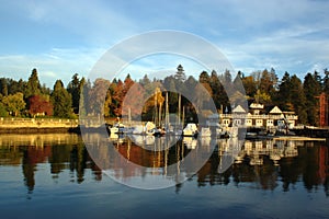 Autumn Scene, Stanley Park