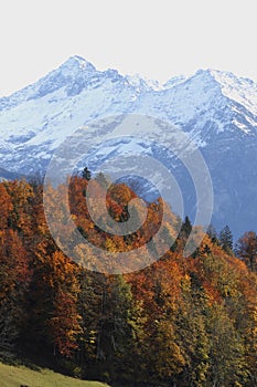 Autumn scene Switzerland