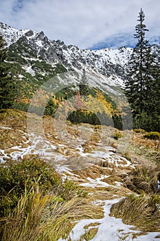 Autumn scene in Temnosmrecinska valley, High Tatras mountain, Slovakia