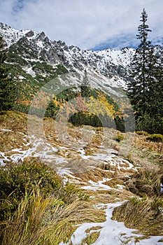 Podzimní scéna v Temnosmrečínské dolině, Vysoké Tatry, Slovensko