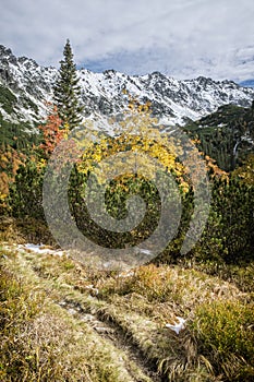 Autumn scene in Temnosmrecinska valley, High Tatras mountain, Slovakia