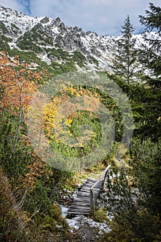 Autumn scene in Temnosmrecinska valley, High Tatras mountain, Slovakia