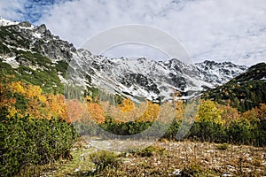 Autumn scene in Temnosmrecinska valley, High Tatras mountain, Slovakia