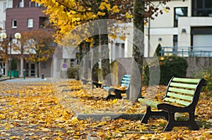 Autumn scene in town photo