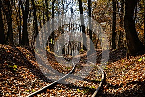 Autumn scene with a train track and a forest in the background