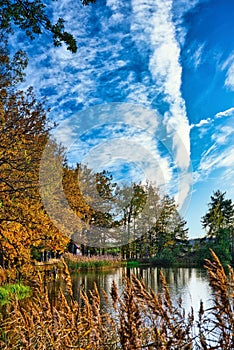 Autumn scene with view over small pond