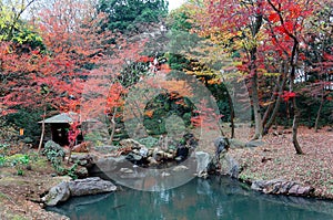 Autumn scene of a wooden gazebo under colorful maple trees by an emerald pond in a peaceful zen-like atmosphere in Rikugi-en Park