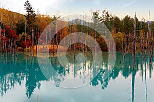 Autumn scenery of Aoi-Ike Blue Pond with beautiful fall colors on the lakeside hills reflected