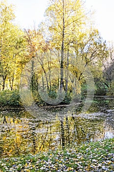 Autumn scenery in arboretum Tesarske Mlynany, Slovakia