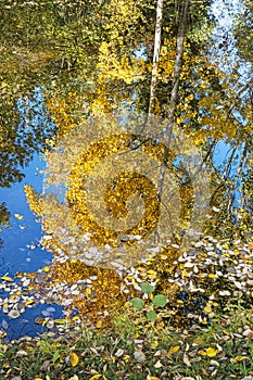 Autumn scenery in arboretum Tesarske Mlynany, Slovakia