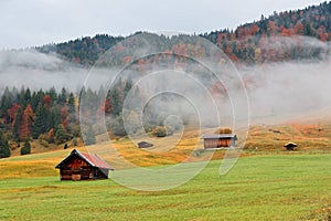 Autumn scenery of Bavarian countryside in morning fog, with wooden barns on the grassy field by the hillside