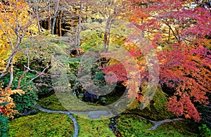 Autumn scenery of a beautiful Japanese garden ~ Aerial view of colorful maple trees in the garden of a famous Buddhist temple in K