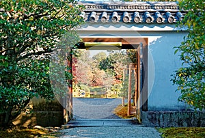 Autumn scenery of a beautiful Japanese garden with fiery maple trees behind a door in the wall