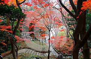 Autumn scenery of beautiful Koishikawa Korakuen Park, a famous traditional Japanese Garden in Tokyo