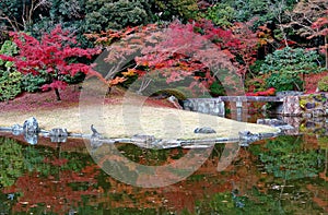 Autumn scenery of beautiful Sento Imperial Palace Royal Villa Park in Kyoto