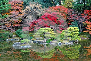 Autumn scenery of beautiful Sento Imperial Palace  Royal Villa Park  in Kyoto, Japan