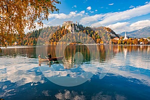 Autumn scenery on Bled lake, Slovenia. Romantic couple sailing by boat