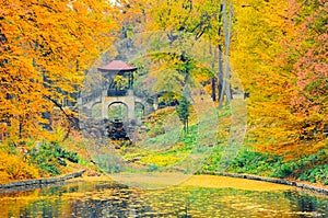 Autumn scenery with colored trees and decorative bridge, Arboretum Oleksandriya, Bila Tserkva, Ukraine