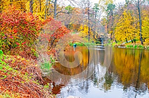 Autumn scenery with colored trees reflected in the water, Arboretum Oleksandriya, Bila Tserkva, Ukraine