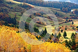 Autumn scenery of colorful forests by the mountainside and green grassy meadows in a valley on a brisk fall day in Shiga Kogen