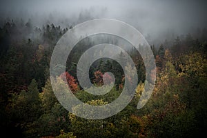 Autumn scenery of colorful trees with mountains background in Bavarian Forest, Germany