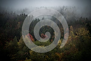 Autumn scenery of colorful trees with mountains background in Bavarian Forest, Germany