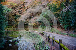 Autumn scenery forest at Minoo waterfall, Osaka, Japan