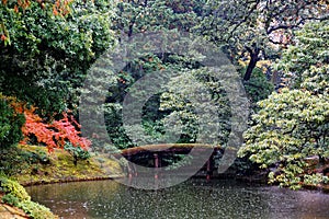 Autumn scenery of a Japanese garden in Katsura Imperial Villa  Royal Park  in Kyoto, Japan