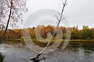 Autumn scenery. Karelia, Russia