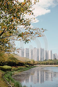 Autumn scenery of lake and apartment buildings at Hwarang Recreation Area park in Ansan, Korea