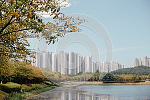 Autumn scenery of lake and apartment buildings at Hwarang Recreation Area park in Ansan, Korea