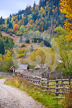 Autumn scenery landscape with colorful forest, wood fence and rural road in Prisaca Dornei