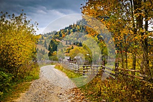 Autumn scenery landscape with colorful forest, wood fence and rural road in Prisaca Dornei