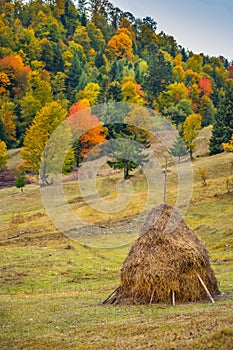 Autumn scenery landscape with colorful forest, wood fences and hay barns in Tihuta Pass