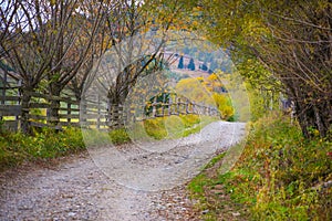 Autumn scenery landscape with rural road, colorful forest, wood fences and hay barns in Bucovina