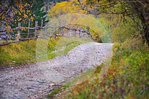 Autumn scenery landscape with rural road, colorful forest, wood fences and hay barns in Bucovina