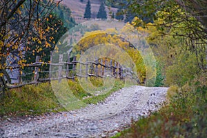 Autumn scenery landscape with rural road, colorful forest, wood fences and hay barns in Bucovina