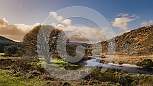 Autumn scenery with leafless tree, a meadow and a stream at a sunset, Wicklow Mountains