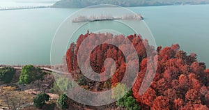 Autumn scenery in Luoyan Island Scenic Area, East Lake, Wuhan
