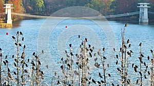 Autumn scenery in Luoyan Island Scenic Area, East Lake, Wuhan