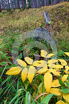 Autumn Scenery of Montana