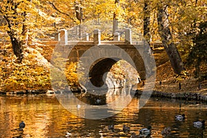 Autumn scenery in the National Park. Sofievka, Ukraine