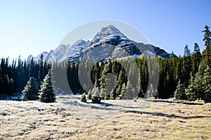 Autumn Scenery near Lake O`Hara, Yoho National Park, Canadian Rockies